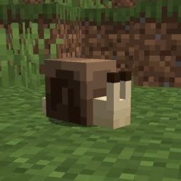 minecraft snail build|immortal snail minecraft mod.